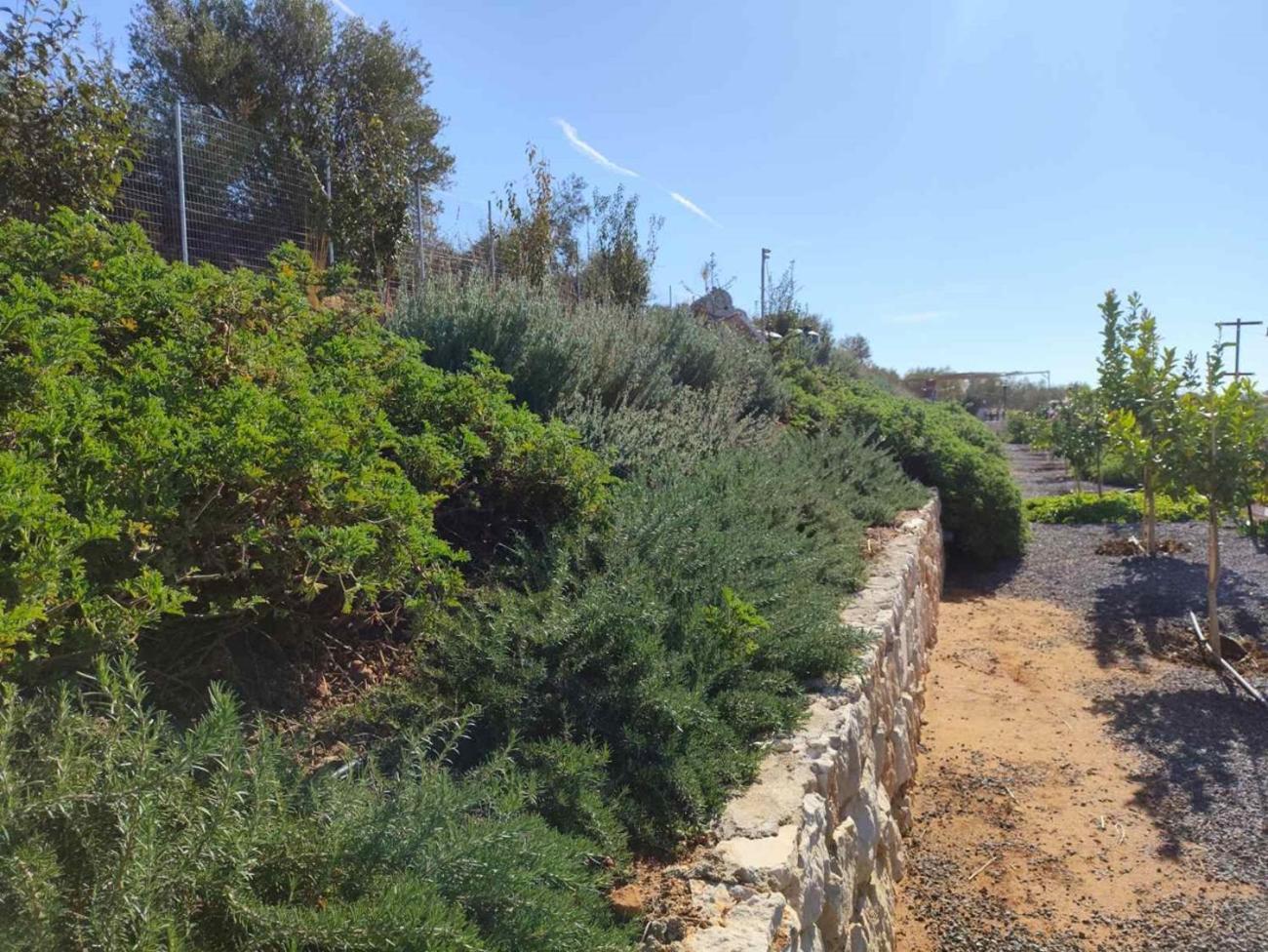 Apartment Gregory's Farm Lefkakia