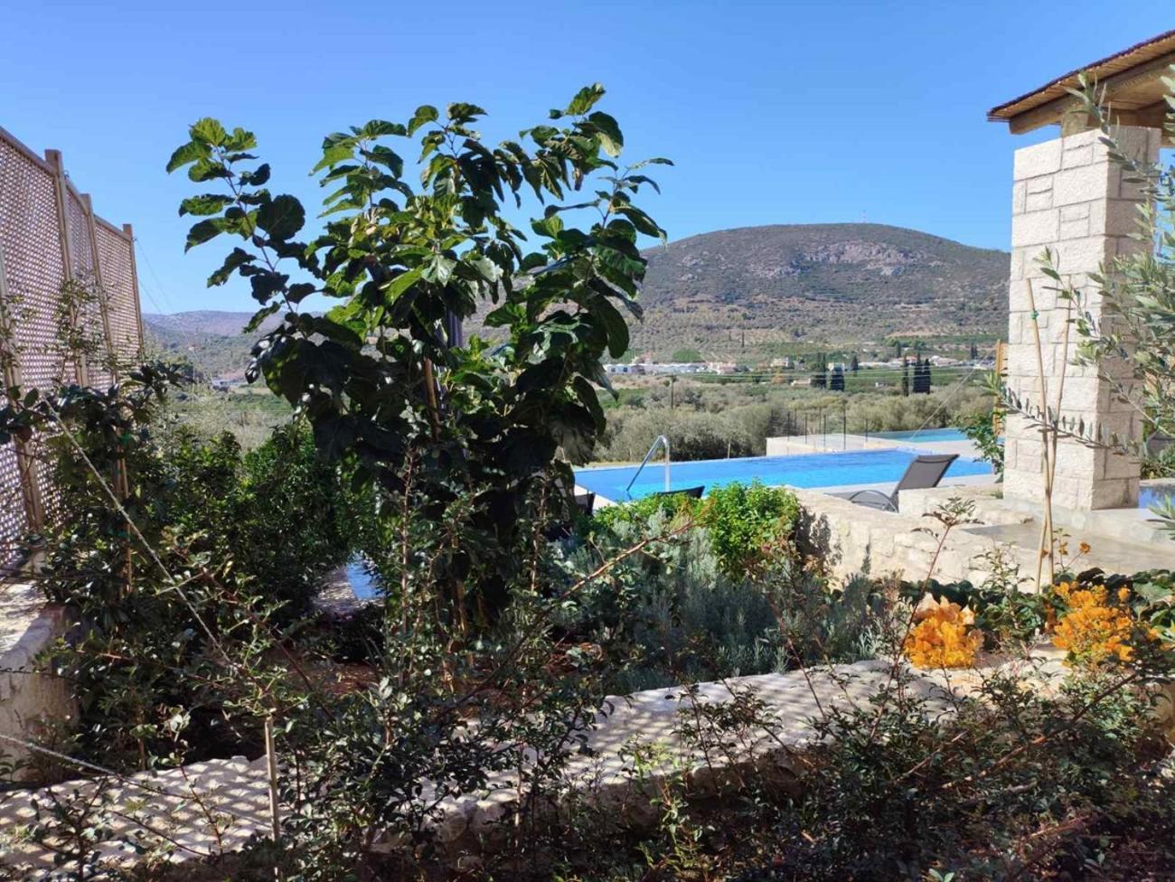 Gregory's Farm * Lefkakia